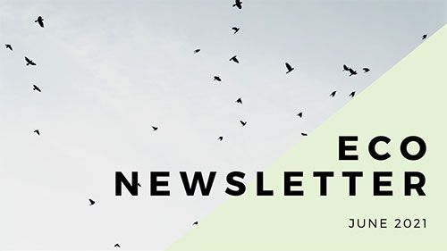 eco newsletter june 2021